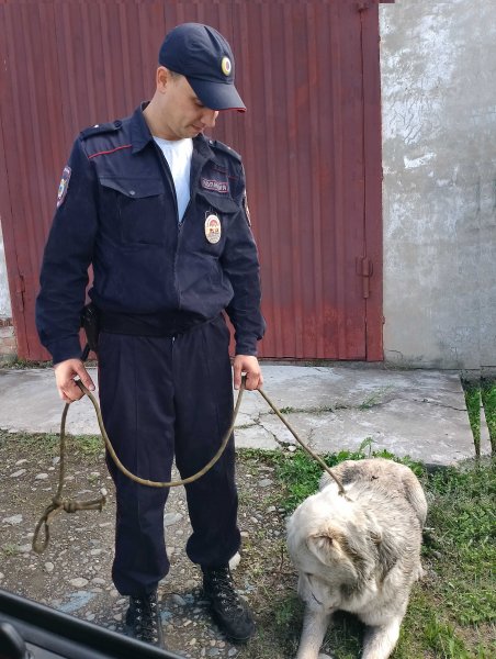 Житель Шелеховского района поблагодарил полицейских за помощь в розыске собаки